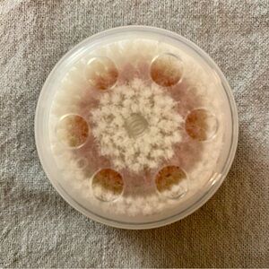 Clarasonic Brush Head